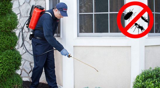 Karaburun Böcek ve Haşere İlaçlama böcek ilaçlama ve haşere kontrolü — ilaclama-tr.com